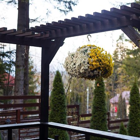 Impala Sinaia - Kudu Apartman Kültér fotó